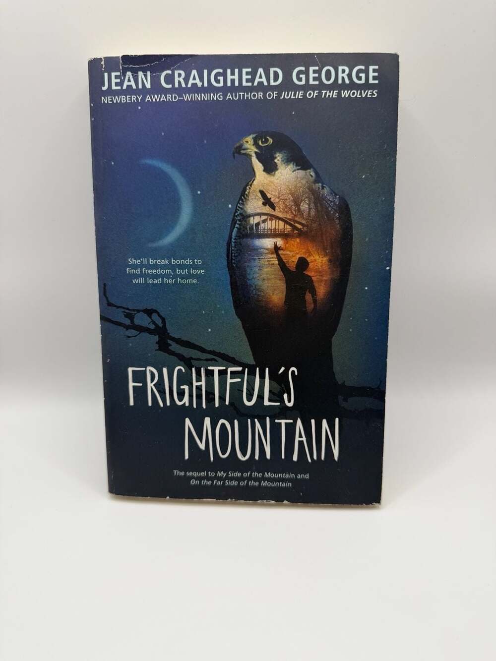 Frightful's Mountain by Jean Craighead George (Paperback)